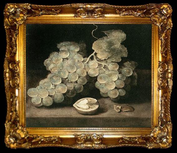 framed  Jacob van Es Grape with Walnut, ta009-2